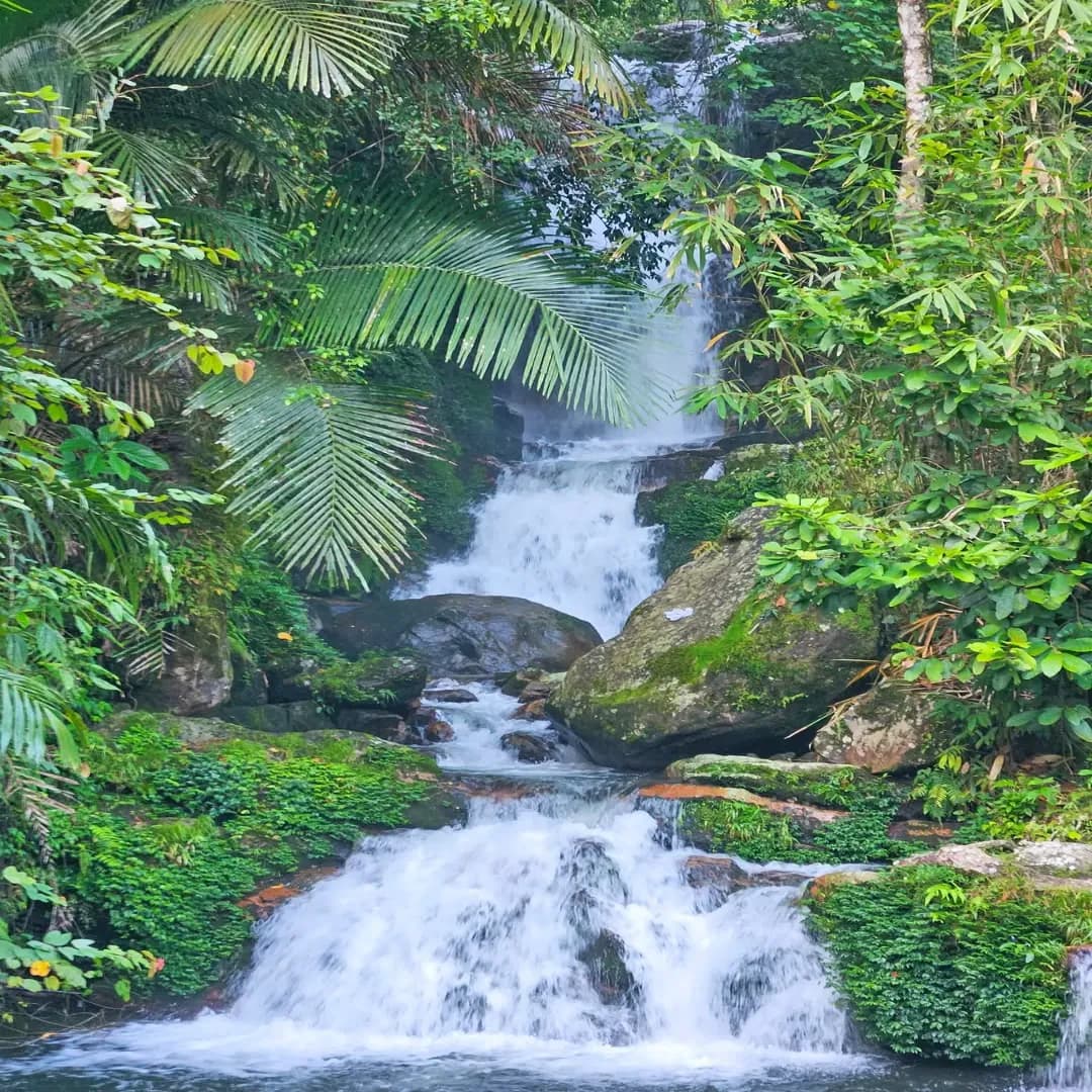 Waterfall