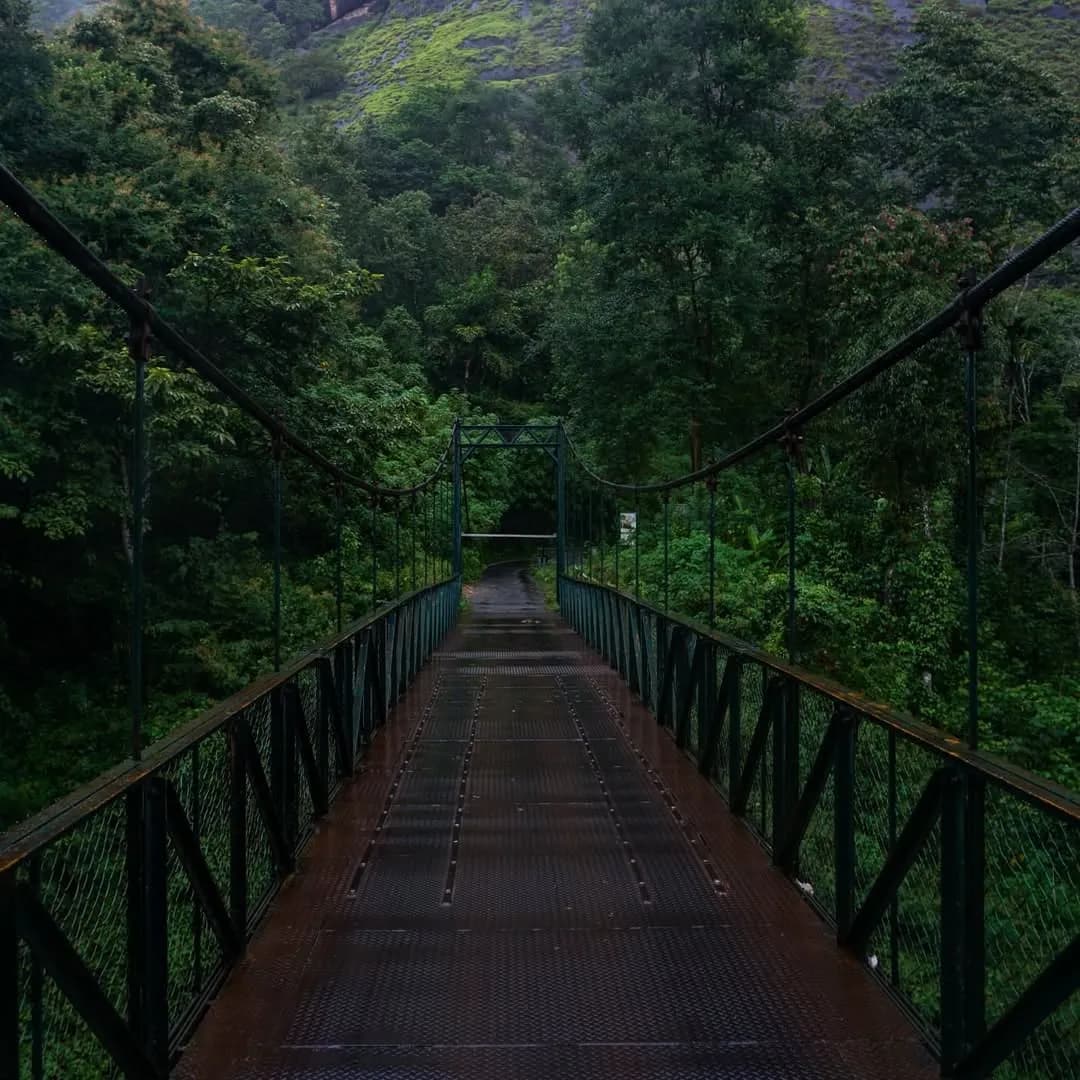 Hanging Bridge
