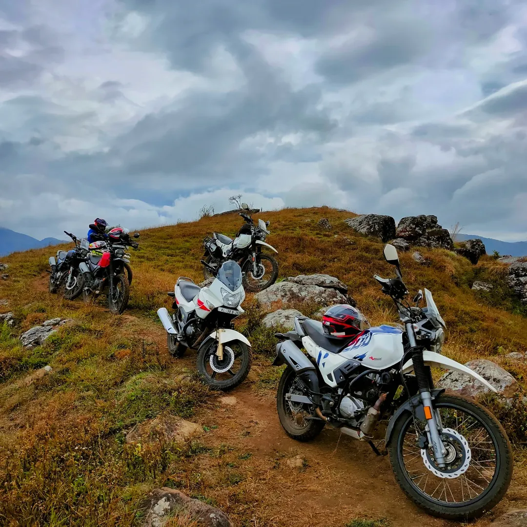 Bike Tours